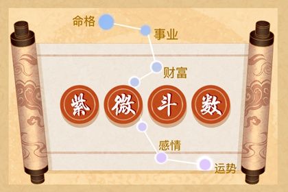 结果里的术语看不懂